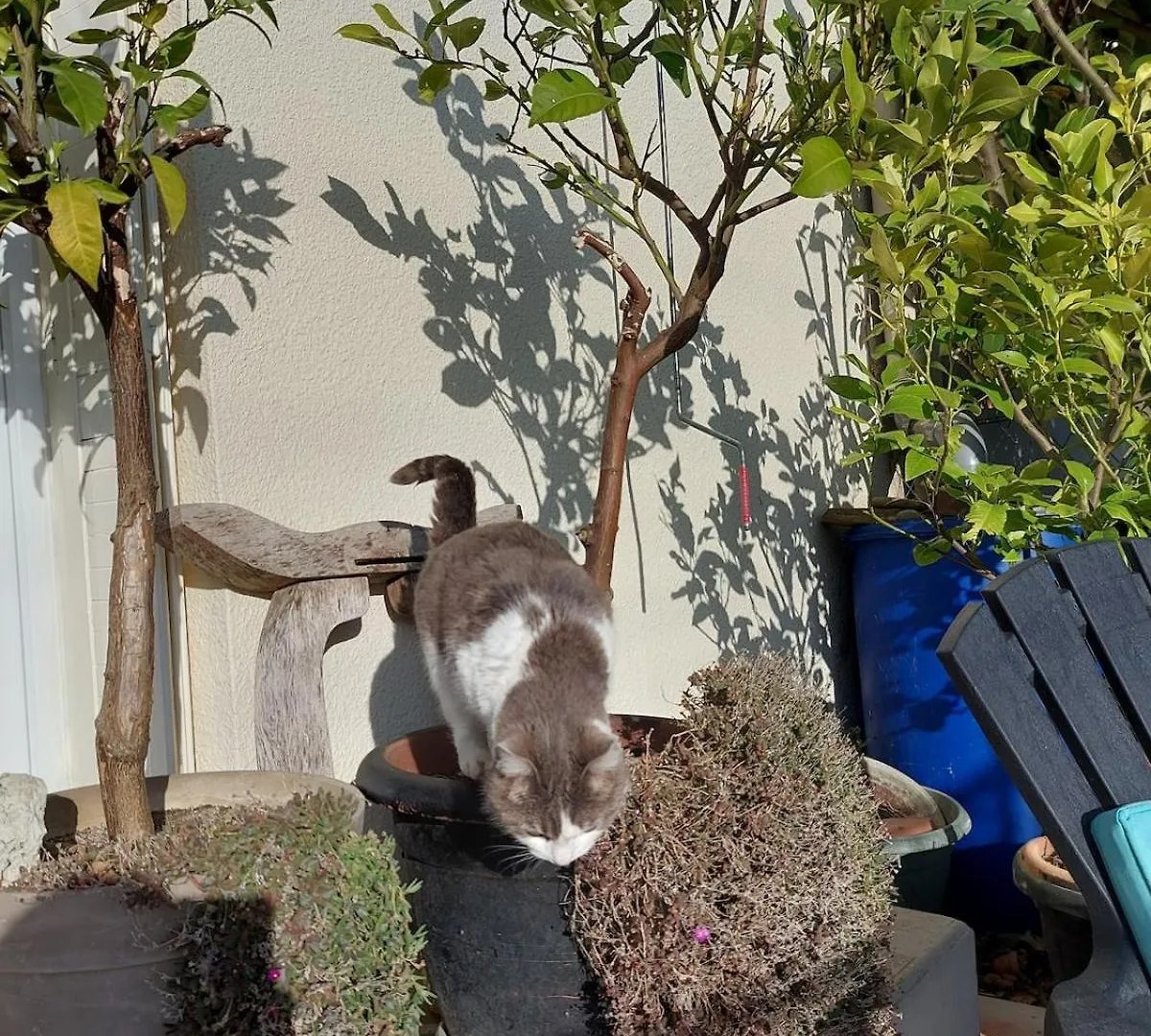 Auch Dans Un Ecrin De Verdure